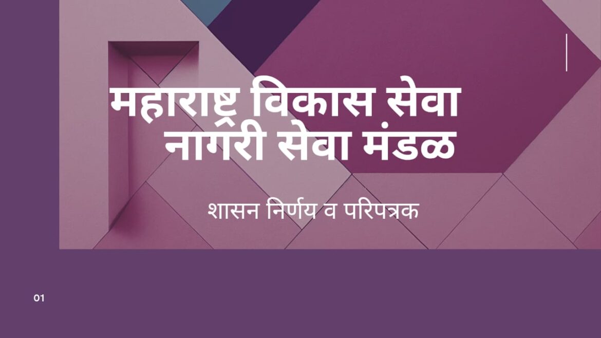 WhatsApp Image 2025-01-26 at 16.46.55