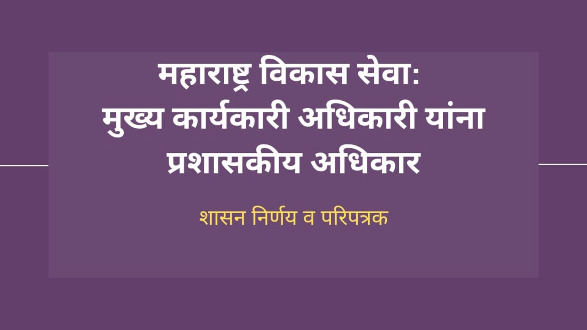WhatsApp Image 2025-01-26 at 16.52.51
